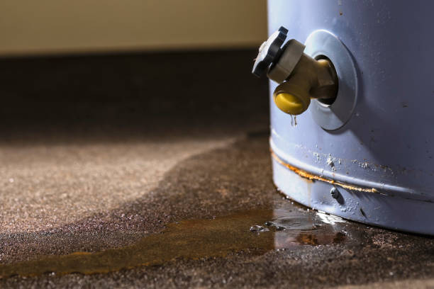 Best Water damage restoration near me  in Rockville, IN
