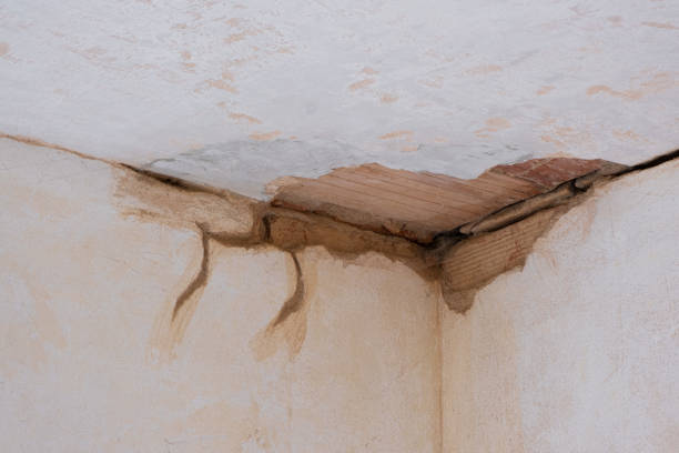 Best Water damage cleanup near me  in Rockville, IN