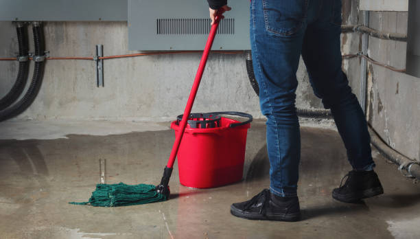 Best Water damage restoration process  in Rockville, IN