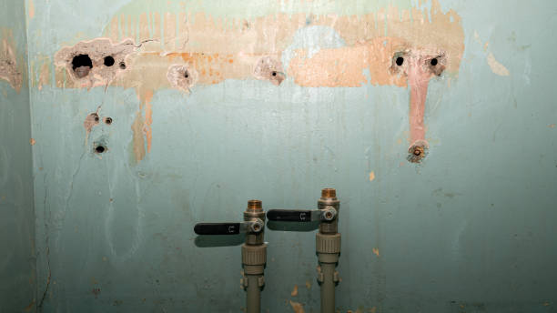 Best 24-hour water damage restoration  in Rockville, IN