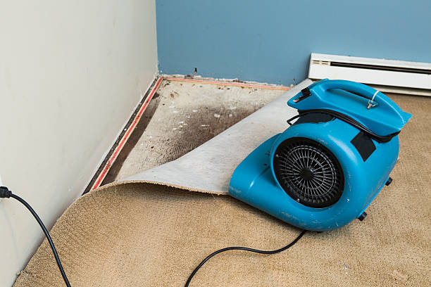 Best Fire Damage Restoration  in Rockville, IN